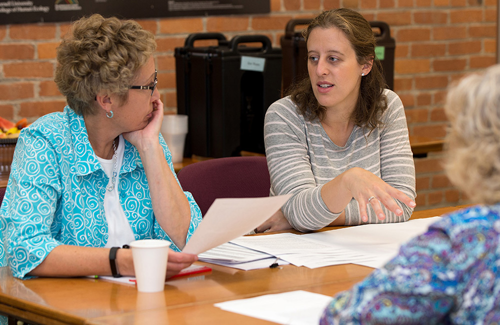 4-H Work Team meeting