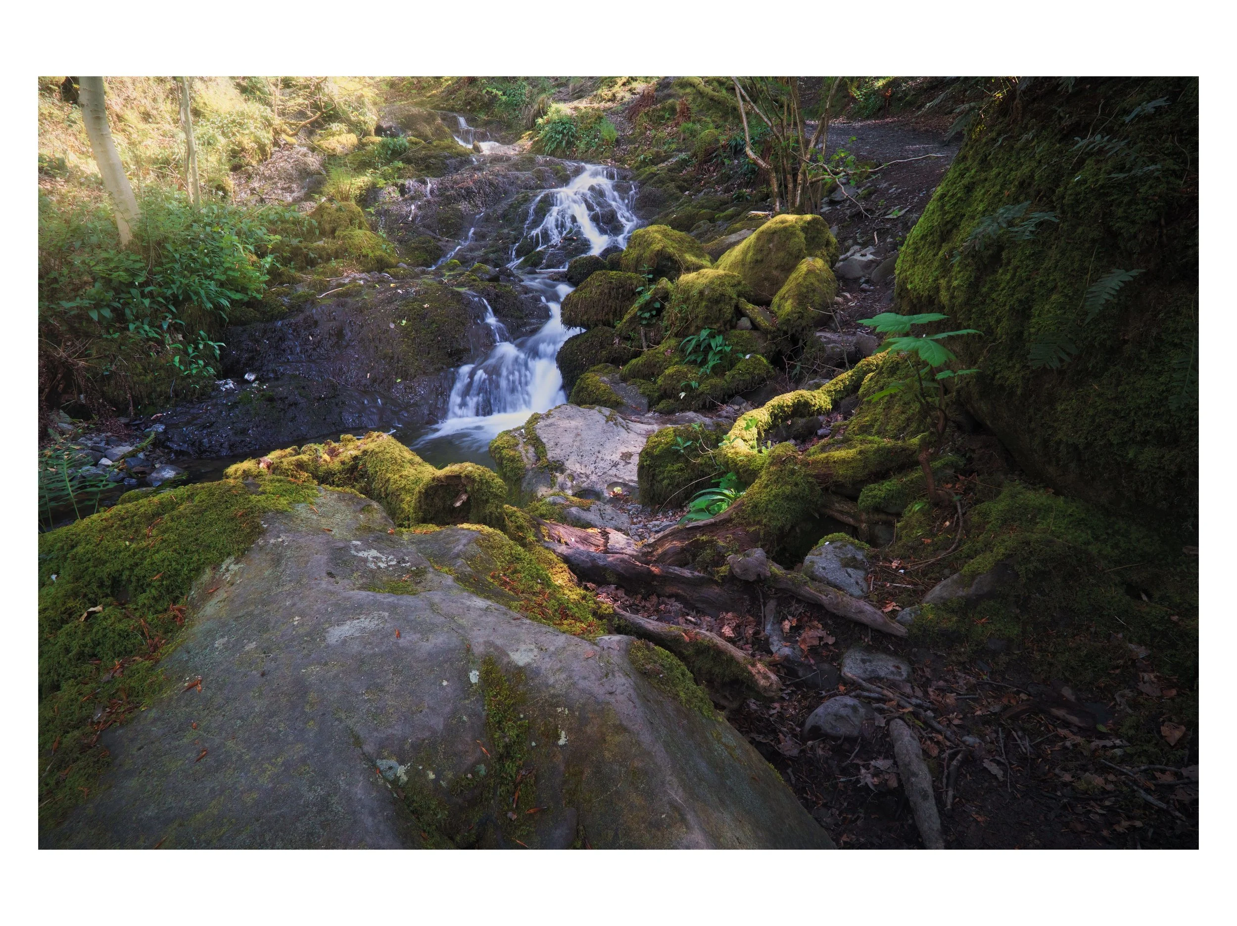 lake district spring full matte 19.jpg