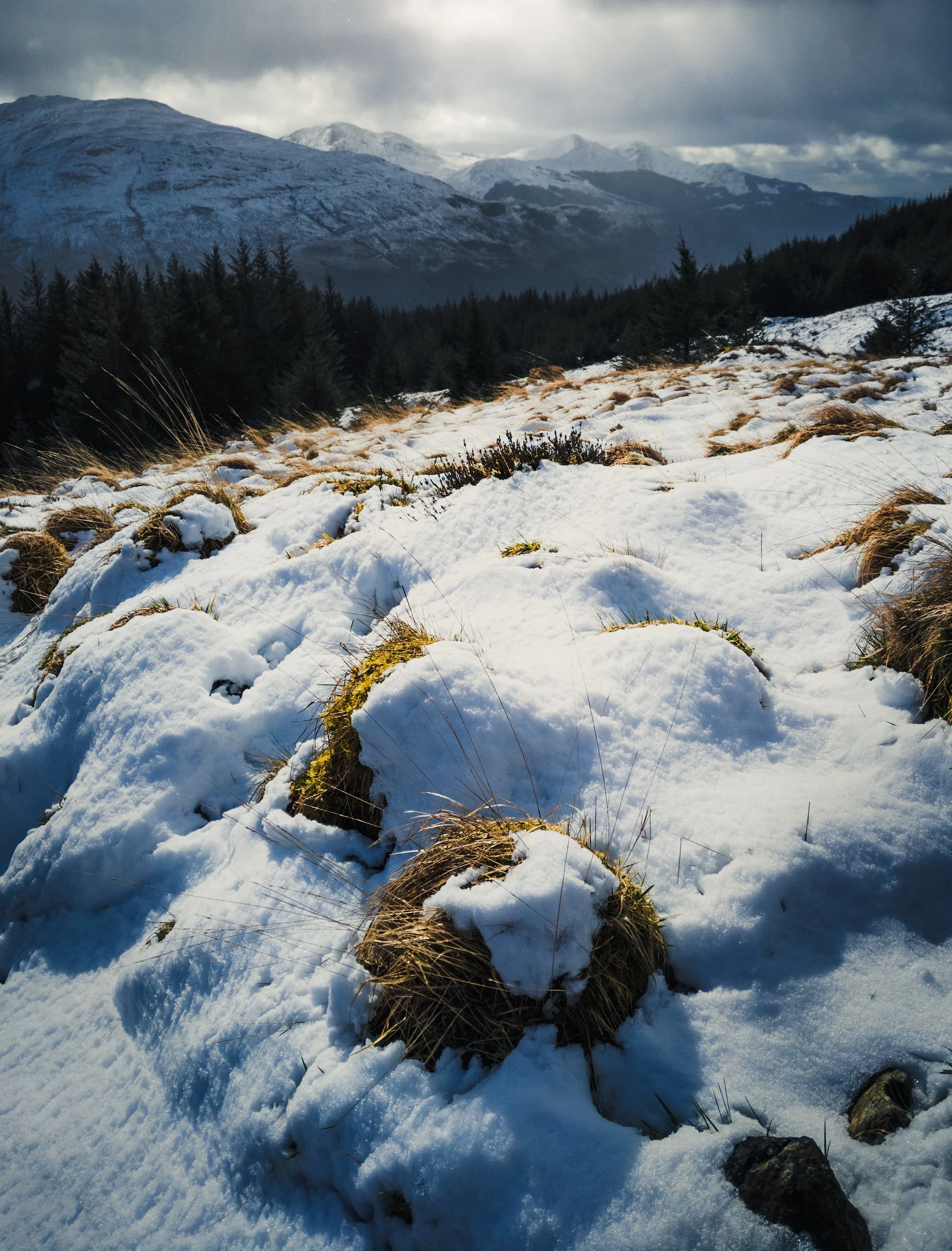 Loch_Lomond-full-08.jpg