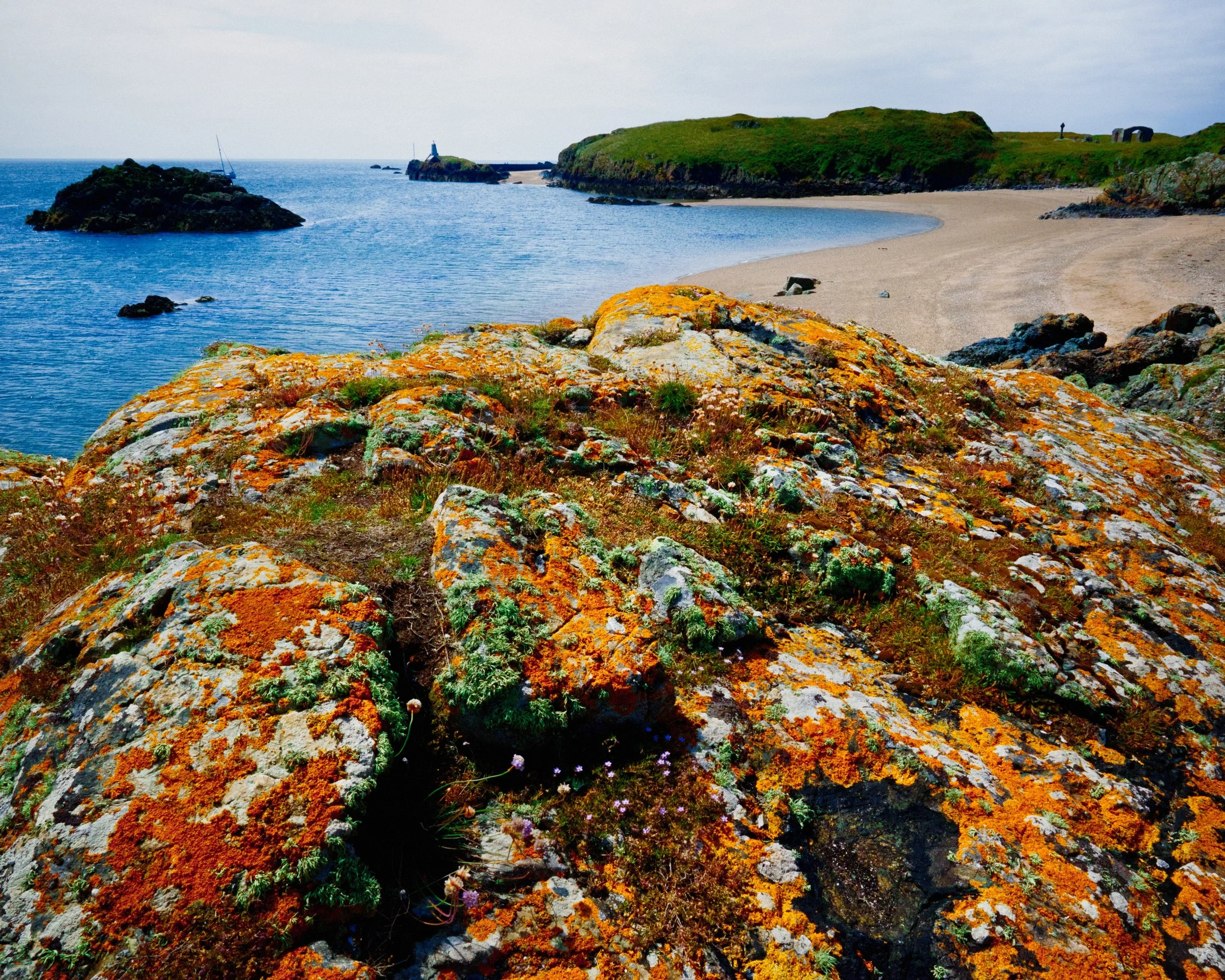 Ynys Llanddwyn, the spit of craggy land off Newborough beach in Anglesey, is a botanist’s dream. Read the rest of this blog post here https://www.iancylkowski.com/blog/2019/7/27/the-island-of-colourful-rocks