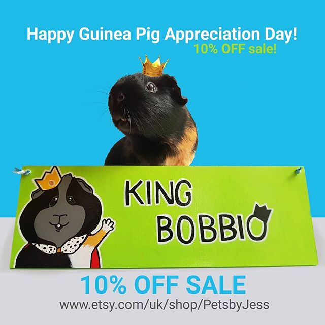 Happy #guineapigappreciationday !๐ฝ
To celebrate there is a ๐ญ๐ฌ% ๐ข๐๐ ๐๐ฎ๐น๐ฒ happening over at my Etsy store. Link to shop in bio!
Have a great guinea pig appreciation day! From Pets by Jess' piggy crew!๐พ