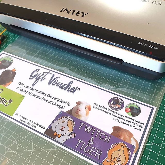 Been working on Guinea pig prints plus designing, printing and laminating a gift voucher for @pigateers_rescue ! ๐ฝ๐จ