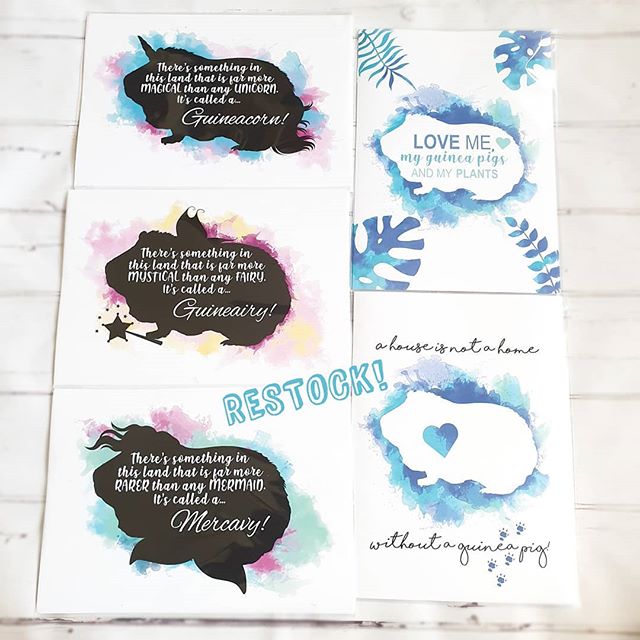 Print Restock! With a new guinea pig mythical range- Guineacorn, Guineairy and Mercavy! ๐ฆ Link in bio to shop! Affordable as always with free UK shipping! ๐๐ Worldwide shipping avaliable!