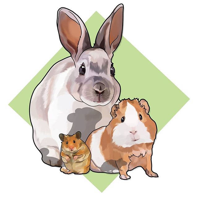 A new logo for @cindapets_ a small rescue in Spain! ๐ฐ