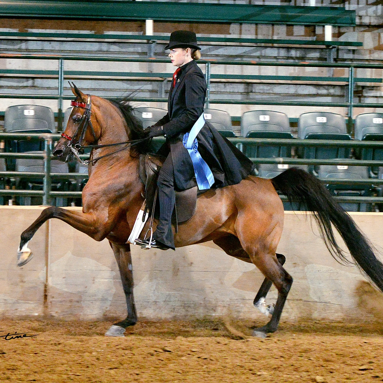 Nobles Diva - Magnolia Classic 2014.jpg