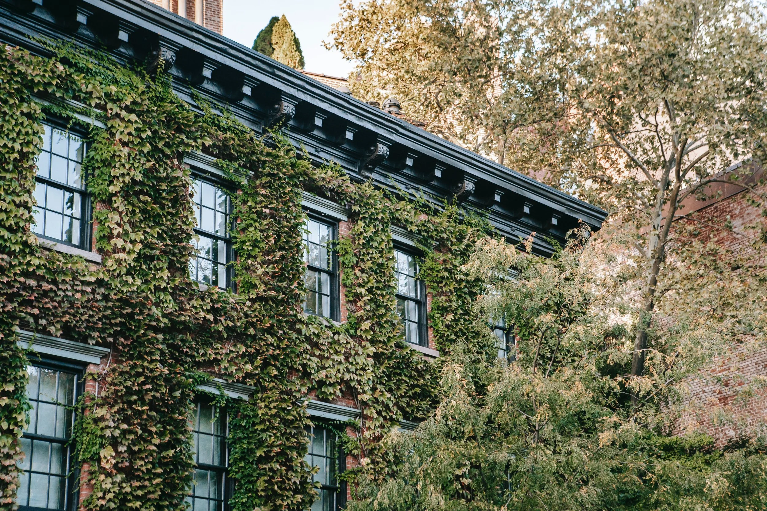Preserving the Past: The Importance of Restoring and Caring for Historic Architecture