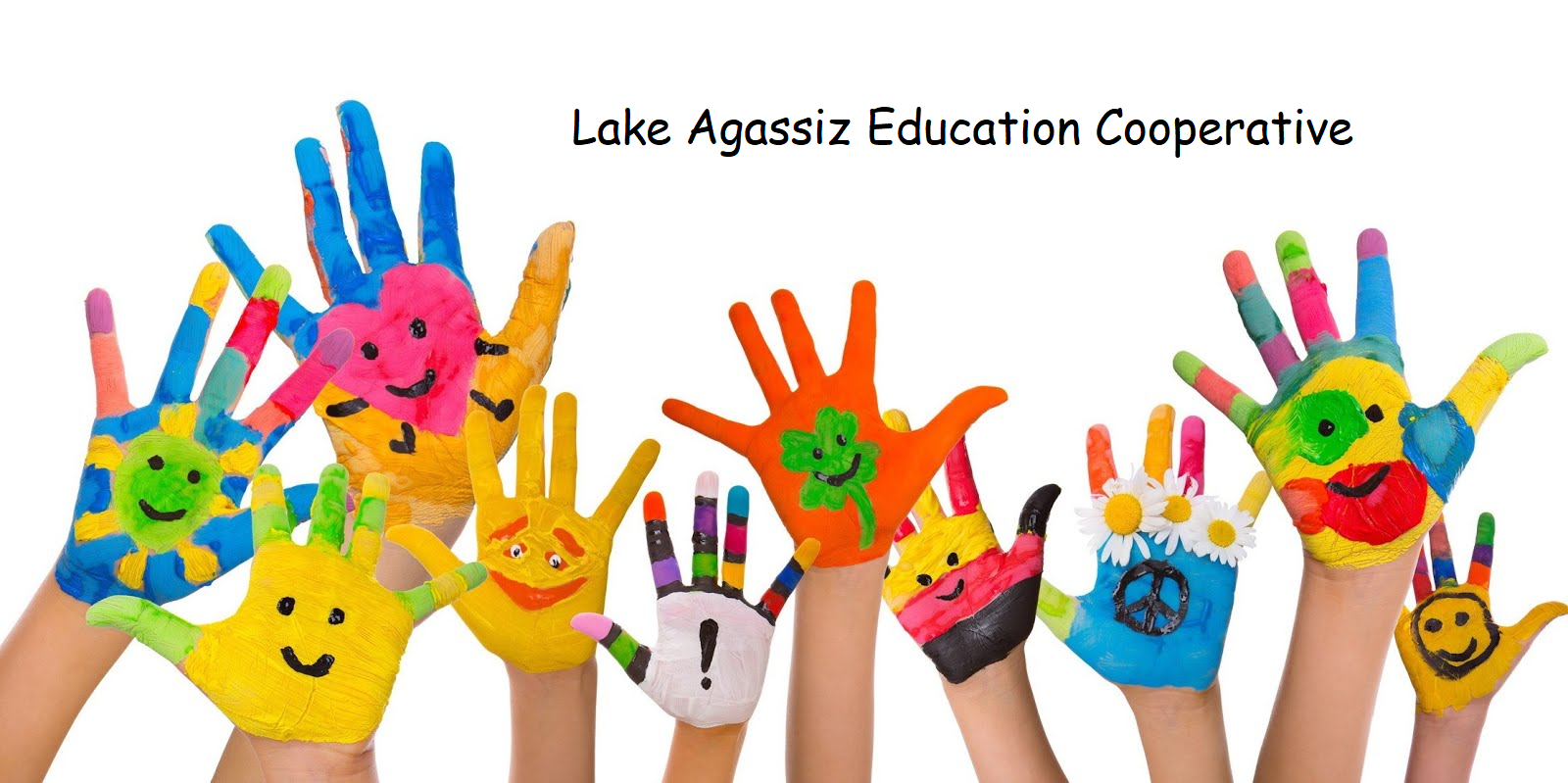 Custom Web Banner.png