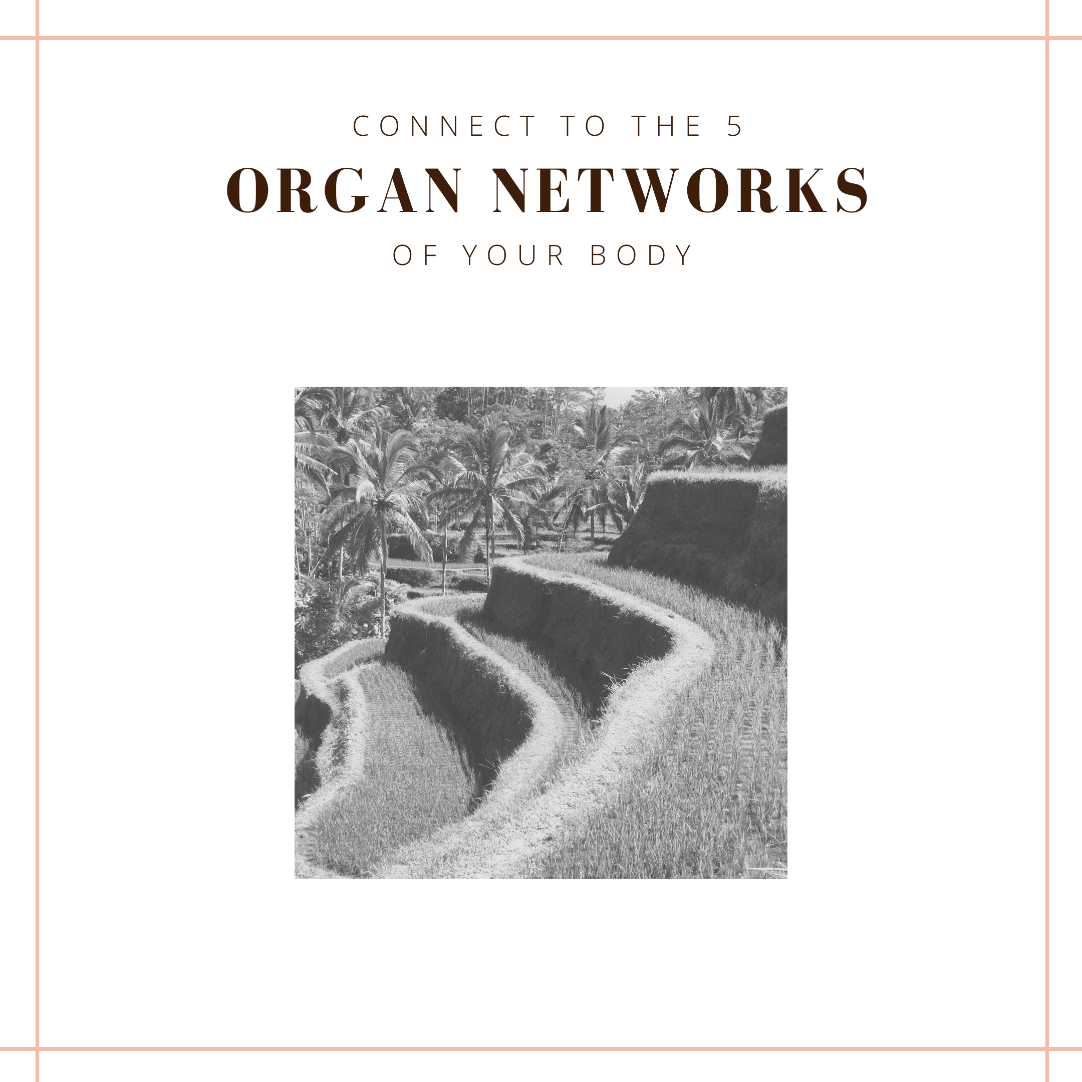 website-product-page-connect-five-organ-networks-of-your-body-meditation-della-reside (3).png