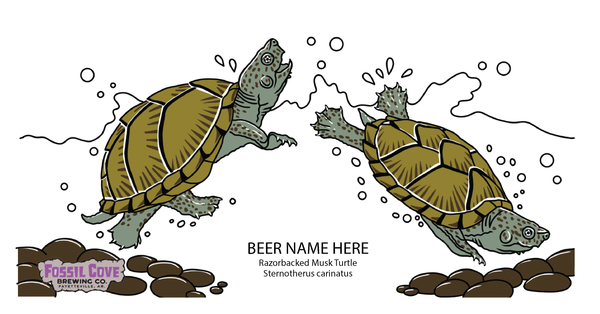 razorbacked musk turtle art.png
