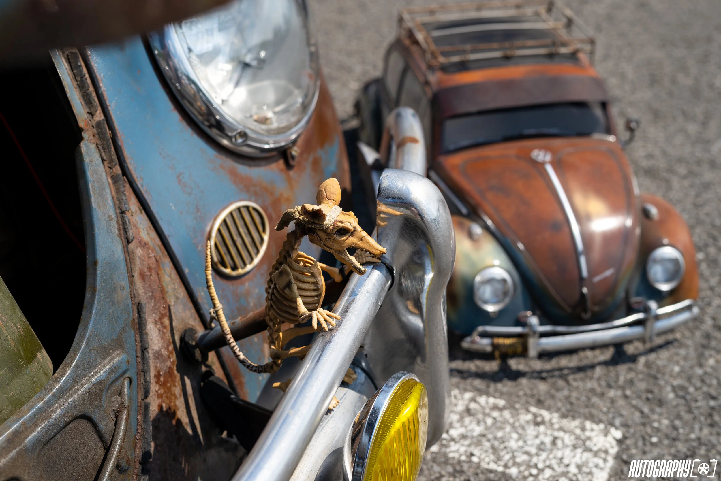 DATL-2019-25.jpg
