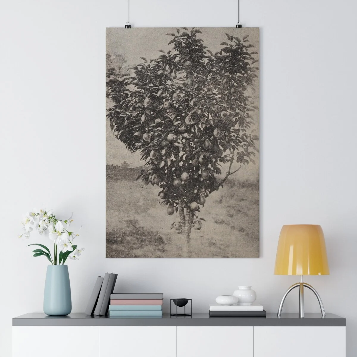 f26f936fc1fad3a06a2dc05844a1e20d