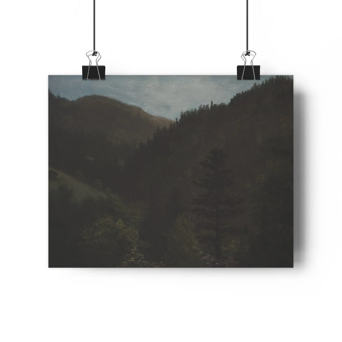 81da0884cd7173850e94c0ee43d7888d