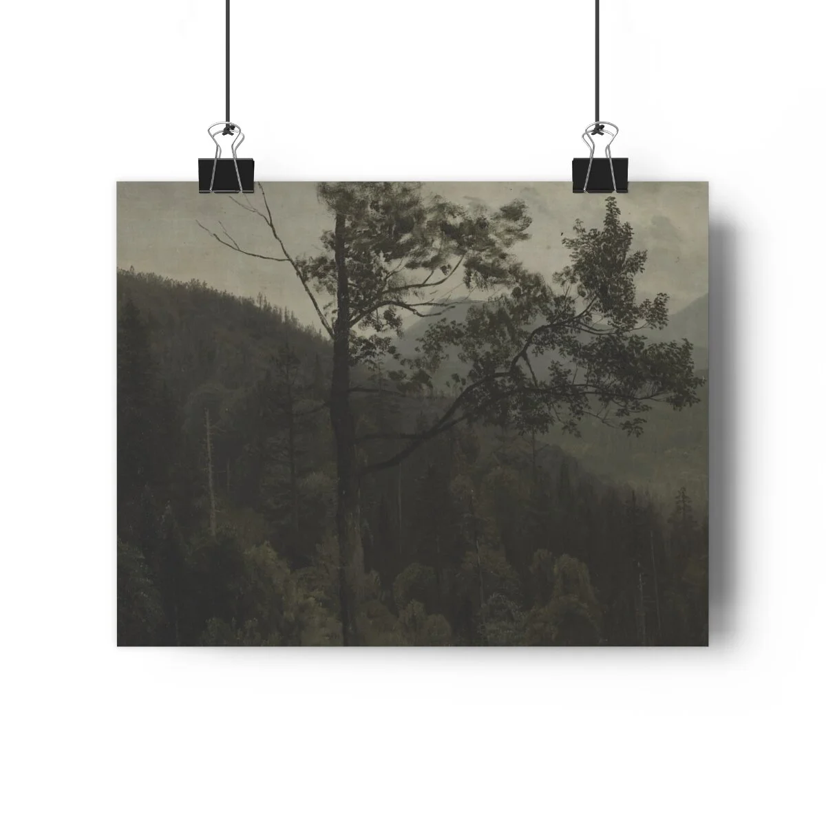 dfa43d08fdf4f8daf8c71e72519b5652