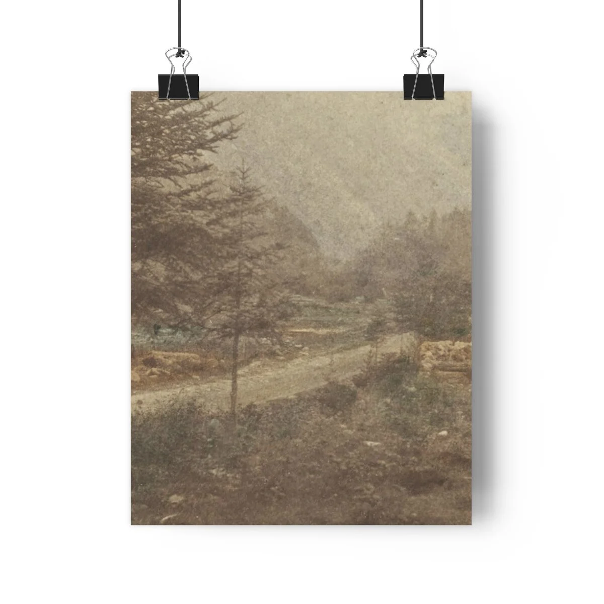 2b2cb7b2505a71e8e8a53d9d837d439c