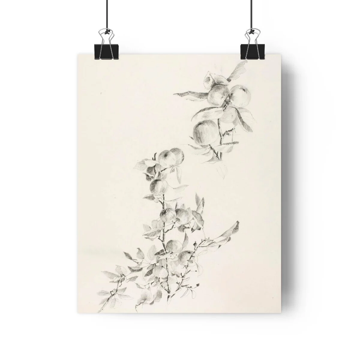 fc3e77f38e2eed9d654a99c39bb7bc8b