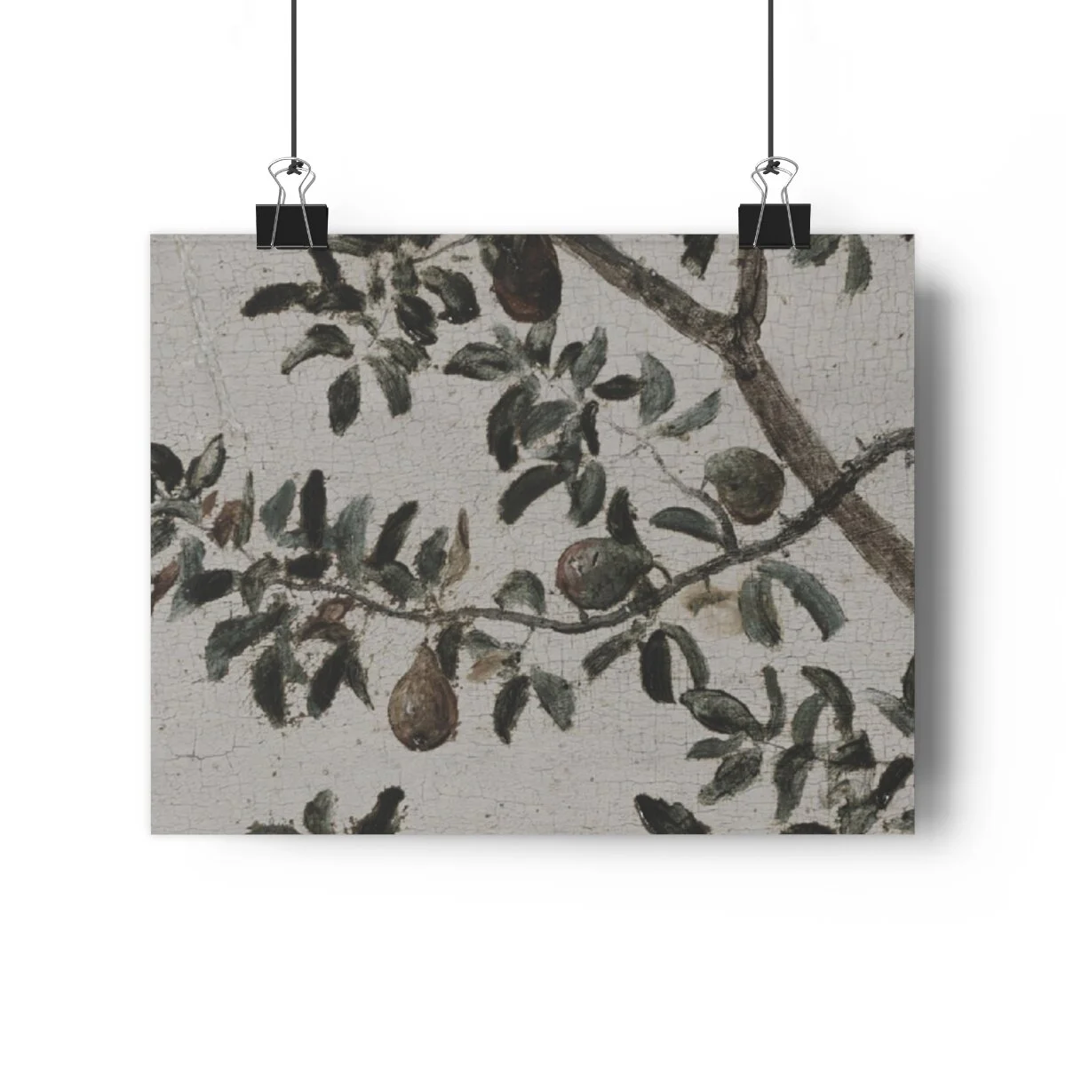 36971f44c795acc8938f5da19346619f