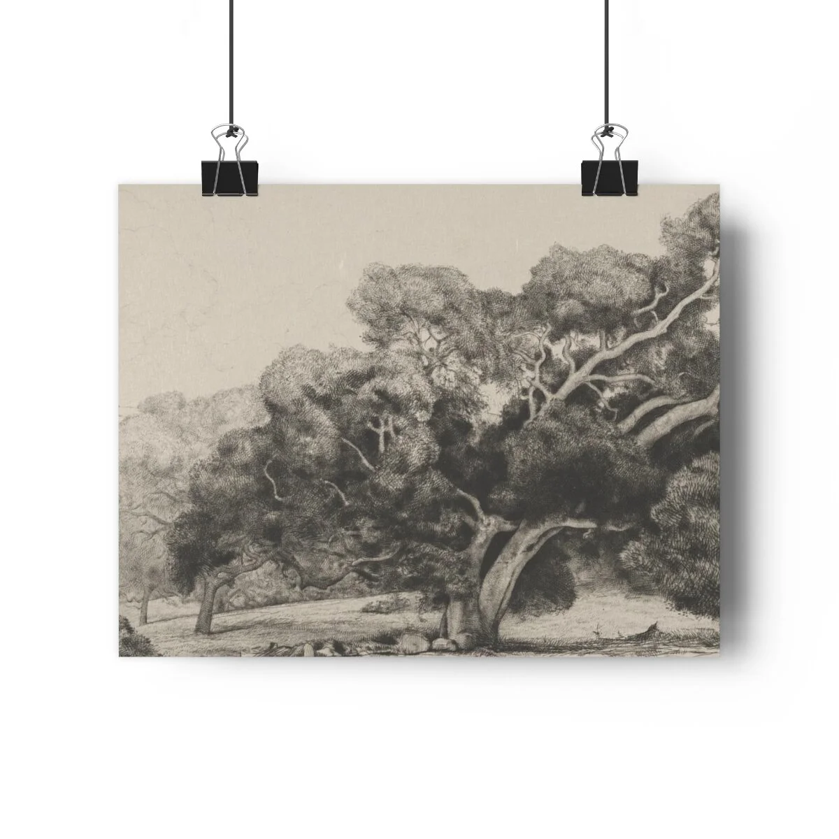 4828d37647c1442789d77a03618a795a