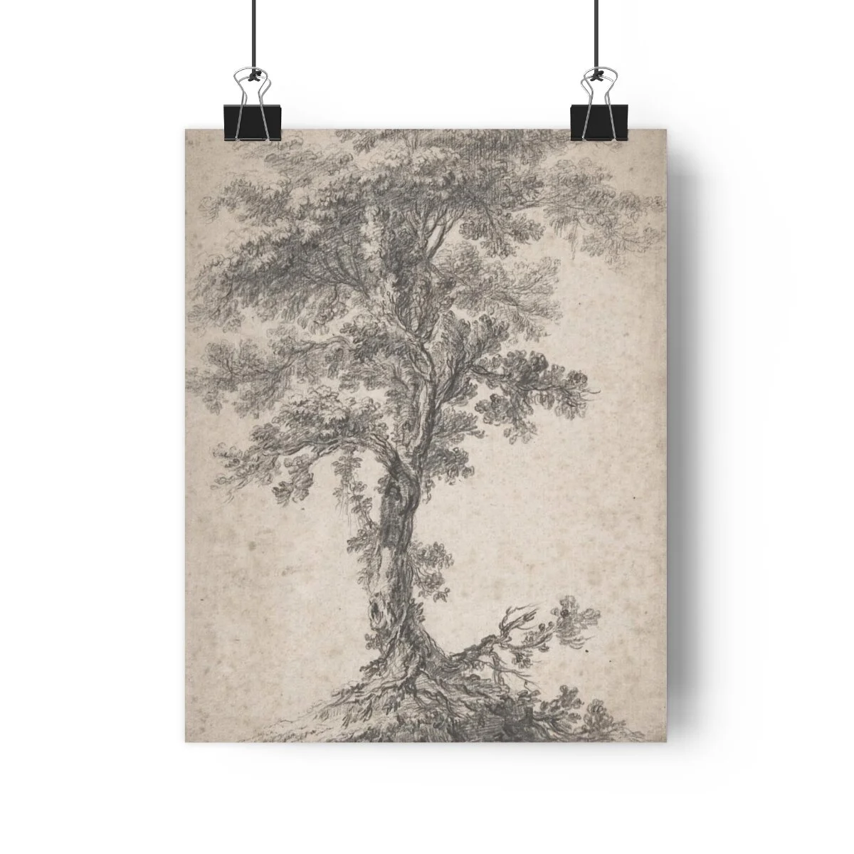 e64c252fc5546b8433f89f2e012cc13b