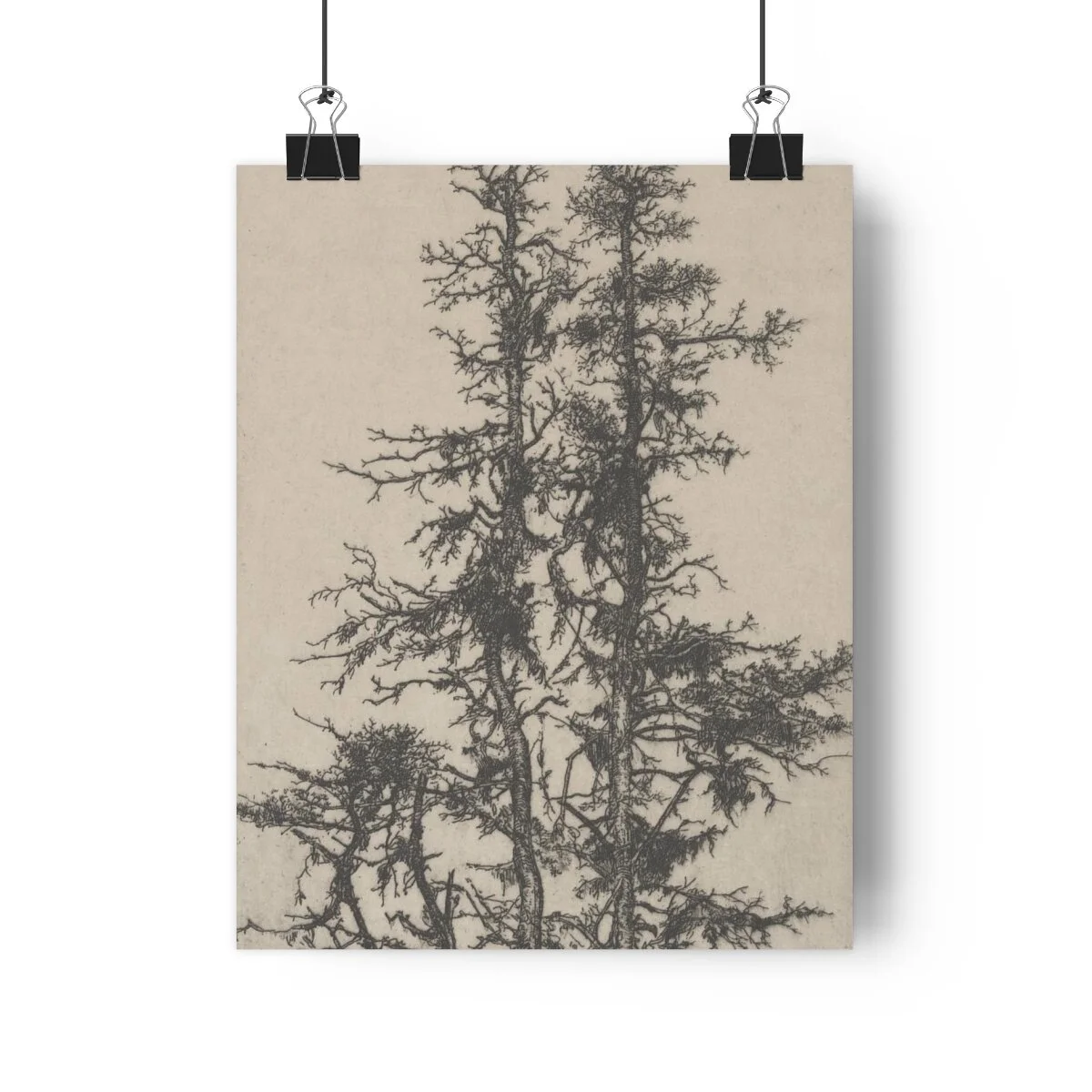 845276f2cbc3fe80e66cc547ea411671