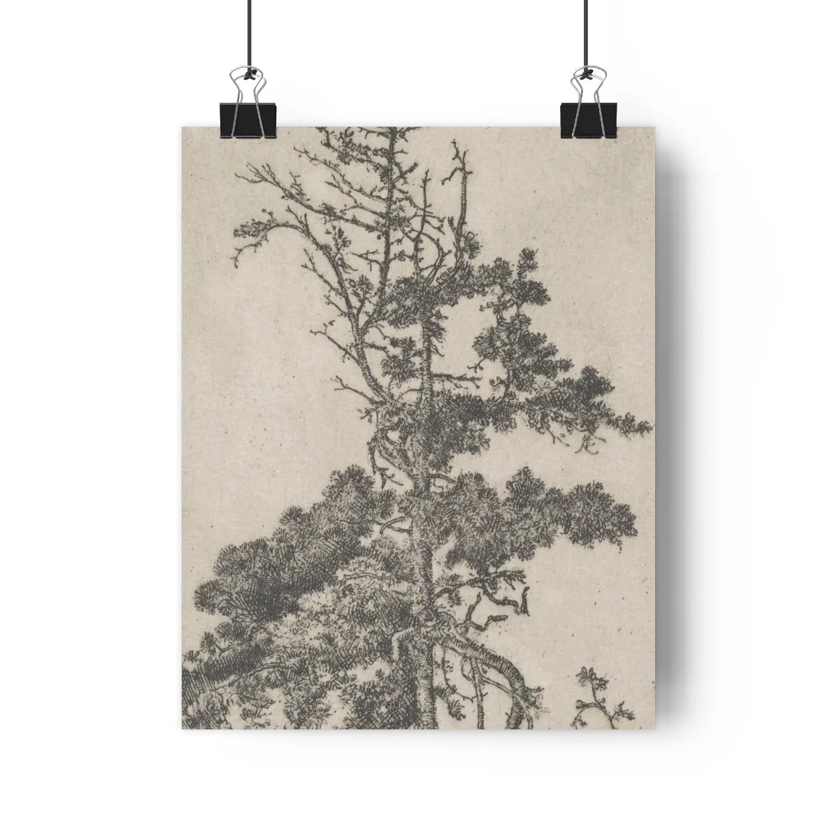 f9905b9daf4fa56c559d49f2b99ffea8