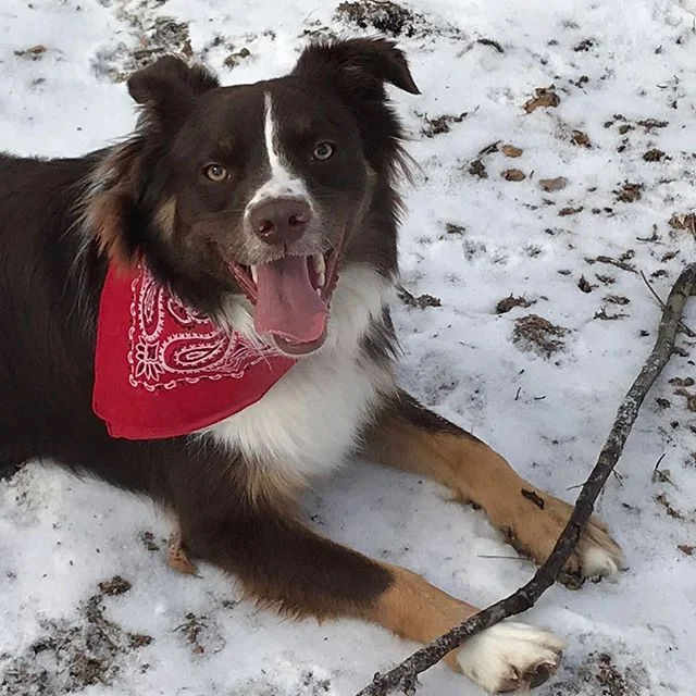 gioved&igrave; wore red for the chiefs today! what a sporty boy ❤️💛🏈