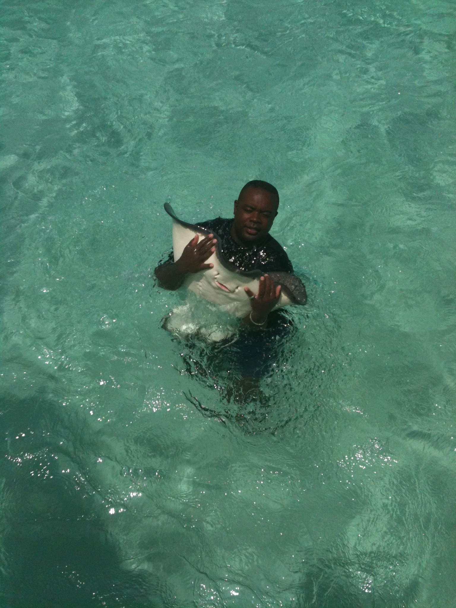 Turks and Caicos Islands: The Other Stingray City