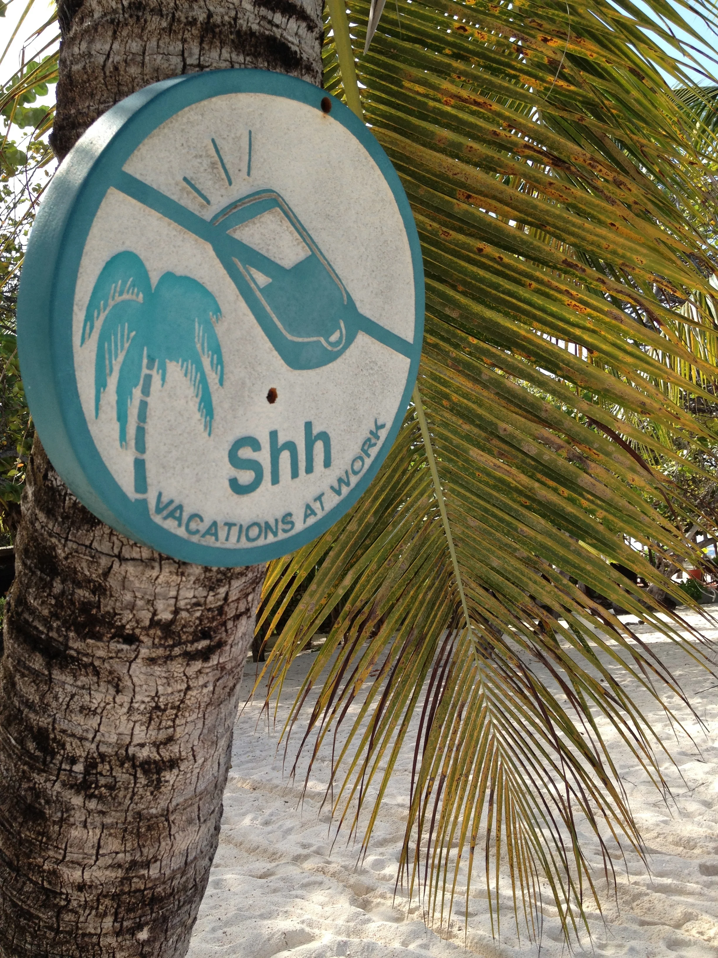 Welcome (Back) to Palm Island