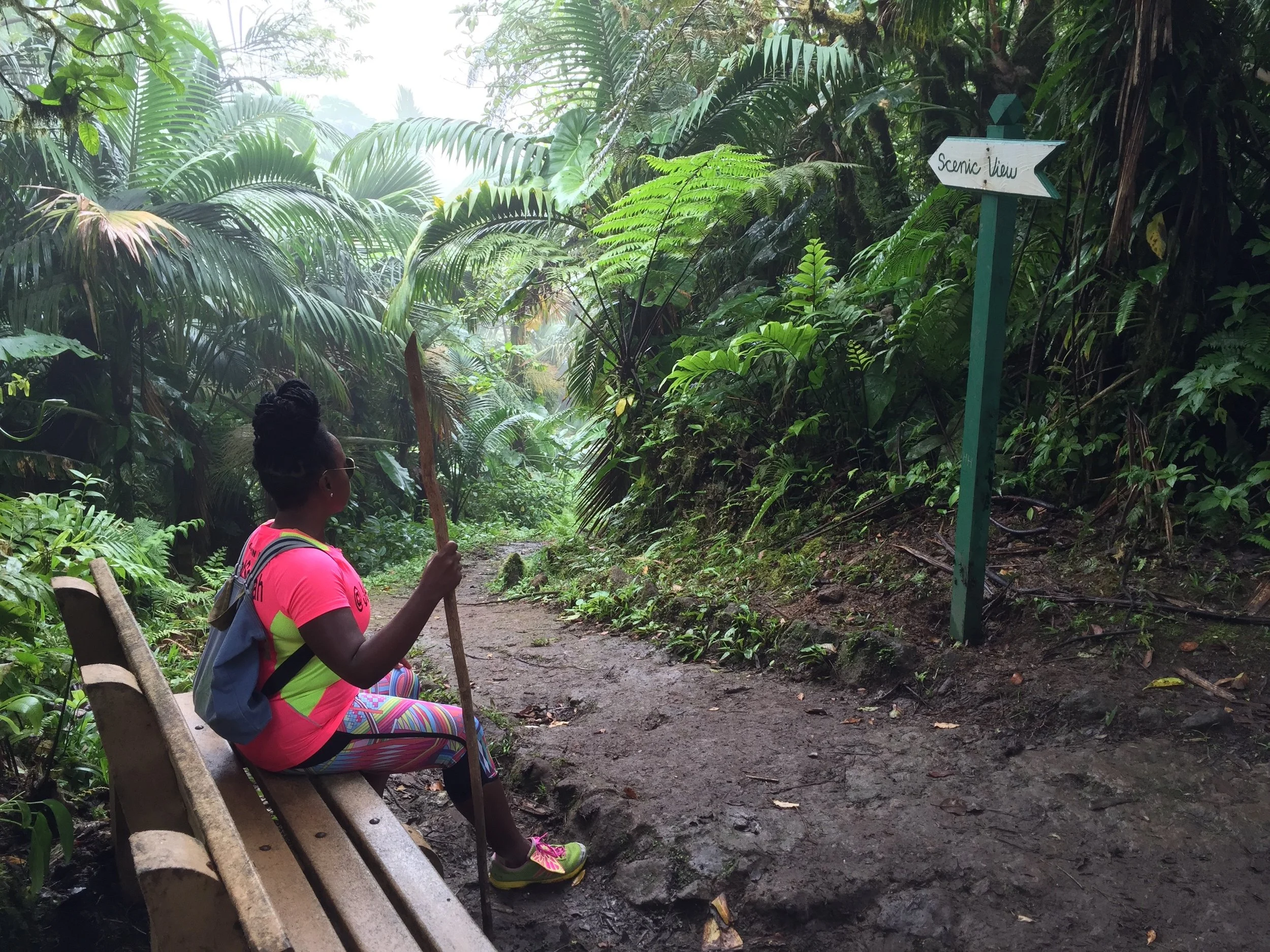 Catching A Mountain High on Saba