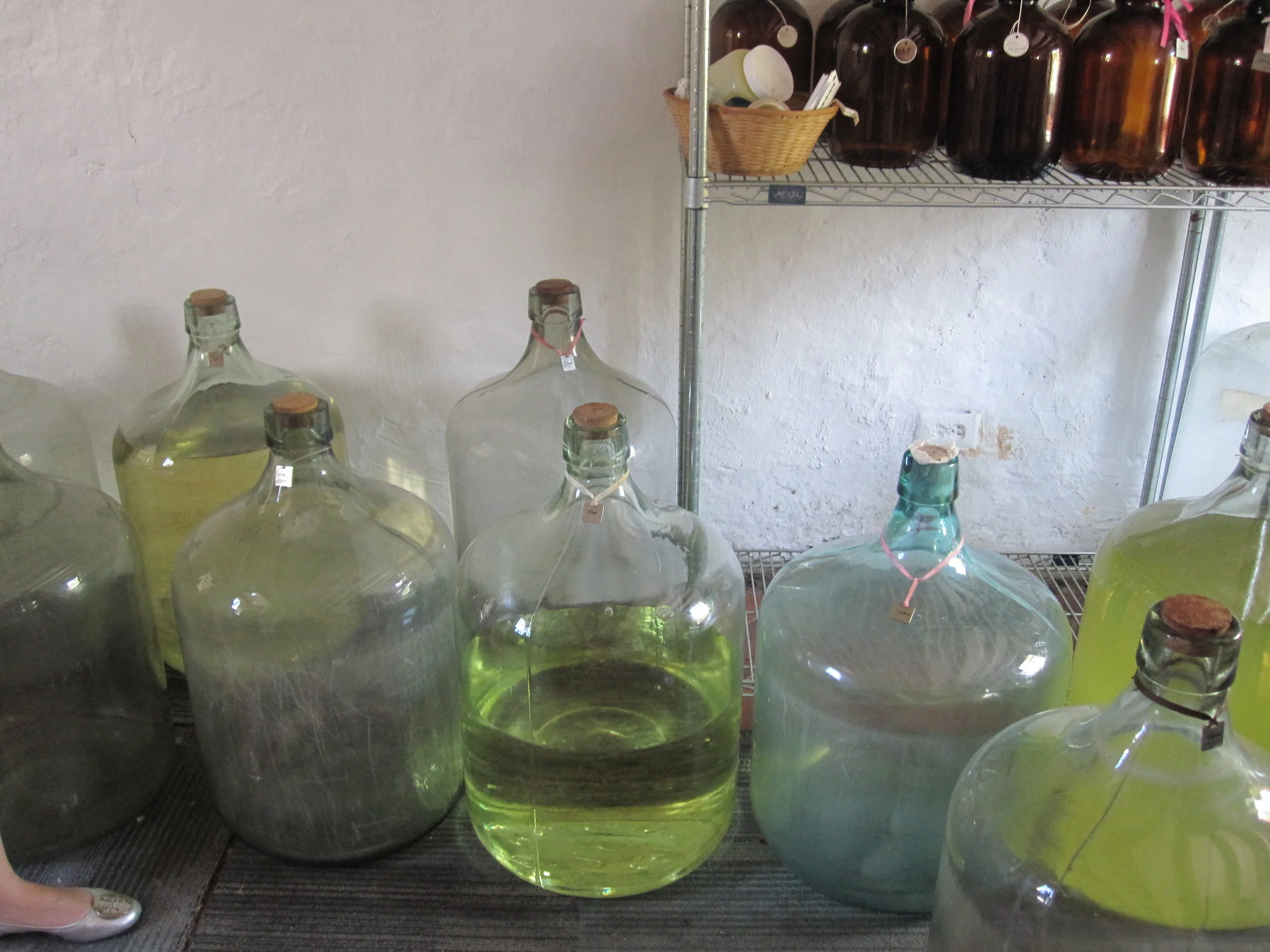 Perfume Shopping in Bermuda