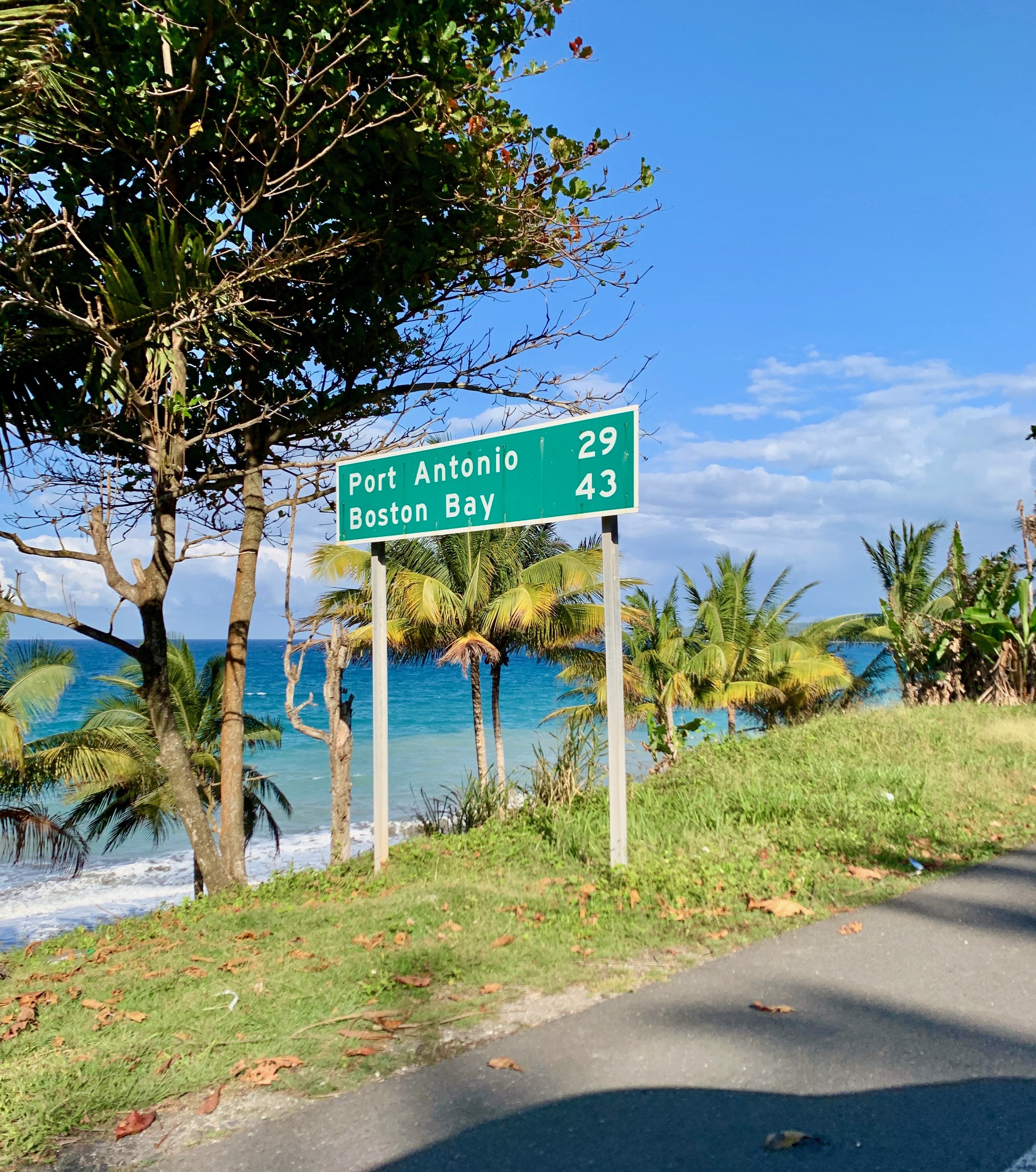 Next stop: Port Antonio, on Jamaica’s northeast coast, where we spent two nights at hillside eco-lodge, Kanopi House.