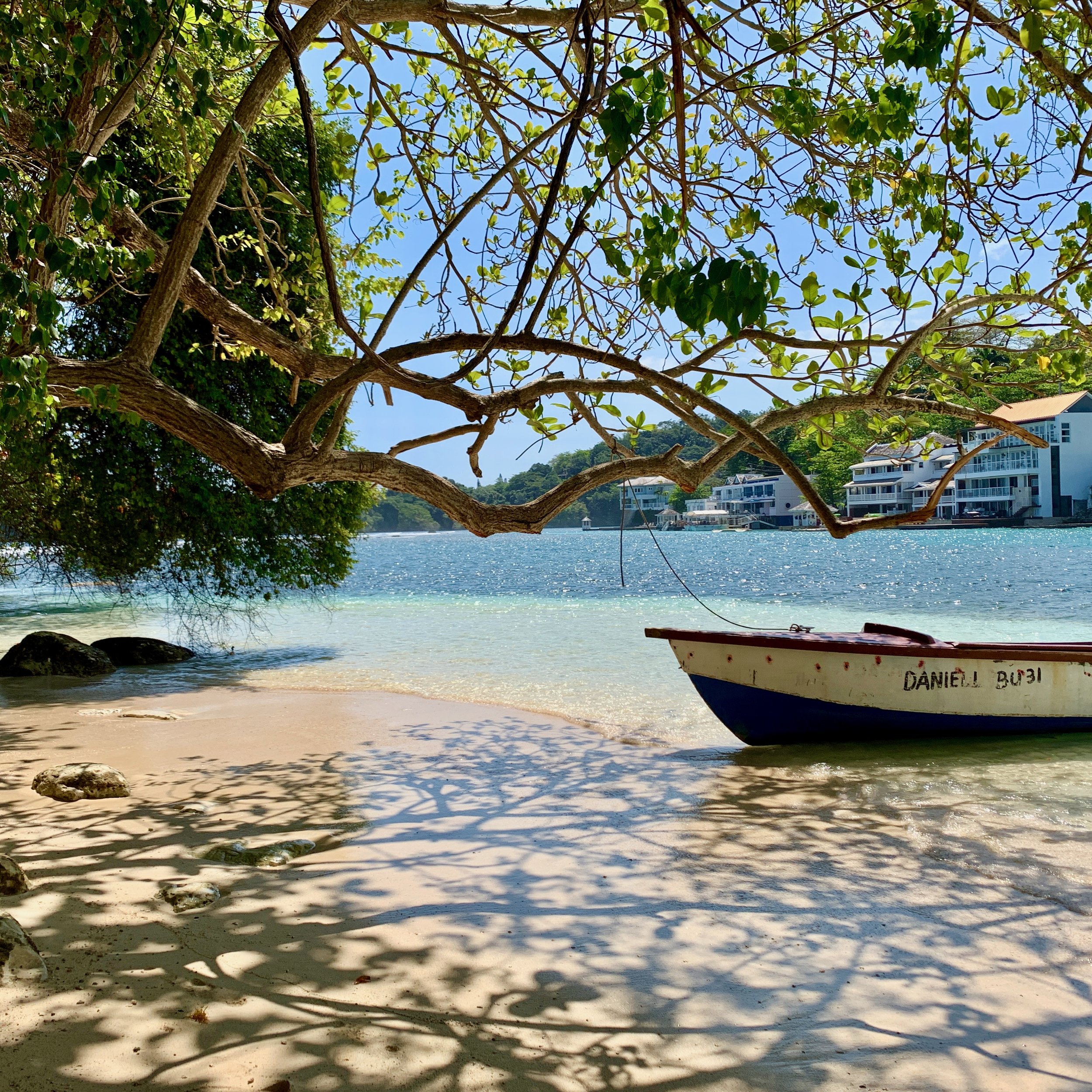  The highlight of my time in Porty was taking a boat over to  Pellew Island (aka Monkey Island), just offshore from San San villas. 