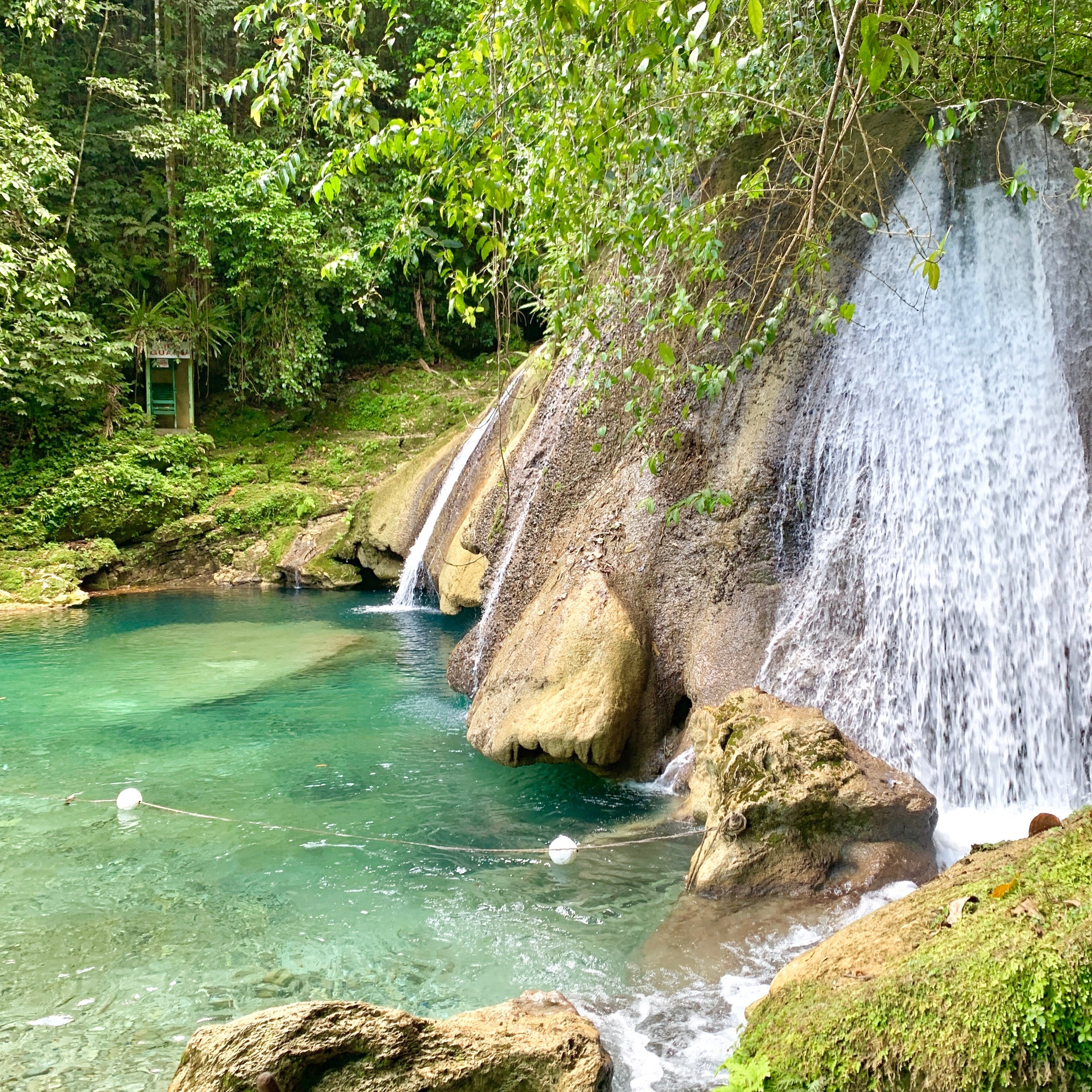 I also went to Reach Falls for the first time. (But no, I wasn’t brave enough to jump1)