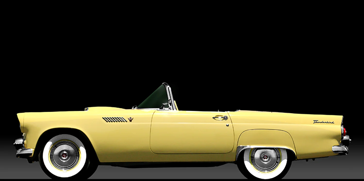 55_TBird_Profile-copy.jpg