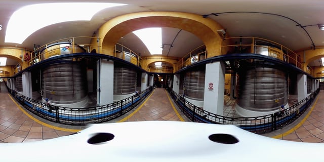 Jalisco 360: Tequila.