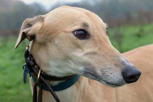 Atlantis Jacob 2.JPG