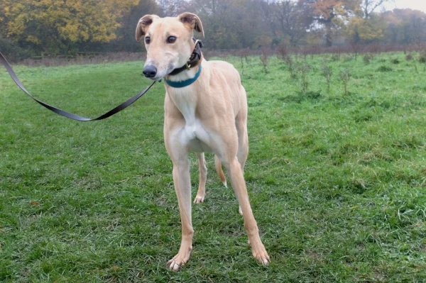 Atlantis Jacob 4.JPG