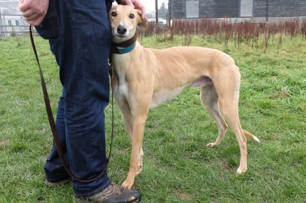 Atlantis Jacob 3.JPG