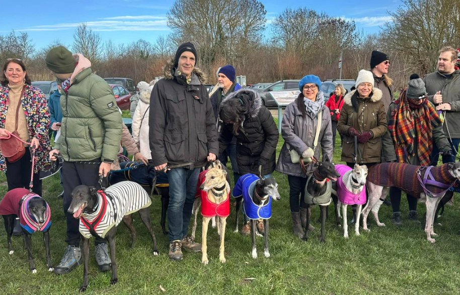 Tina's Greyhound Walk