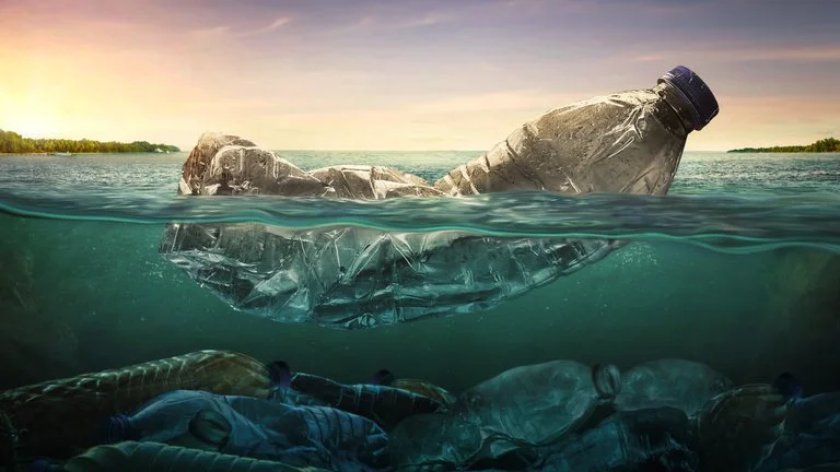 weed_ocean_pollution.2e16d0ba.fill-768x432.jpg
