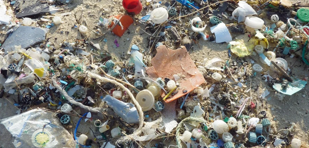 Cannabis-Packaging-Company-Unveils-Products-Made-From-Ocean-Plastic.jpg