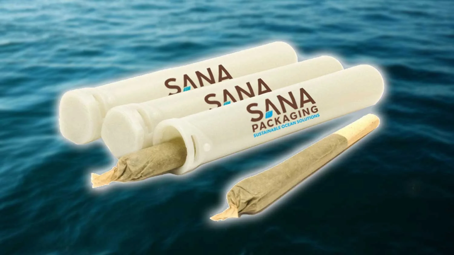 vegan-plant-based-news-sana-ocean-solutions-livekindly.jpg