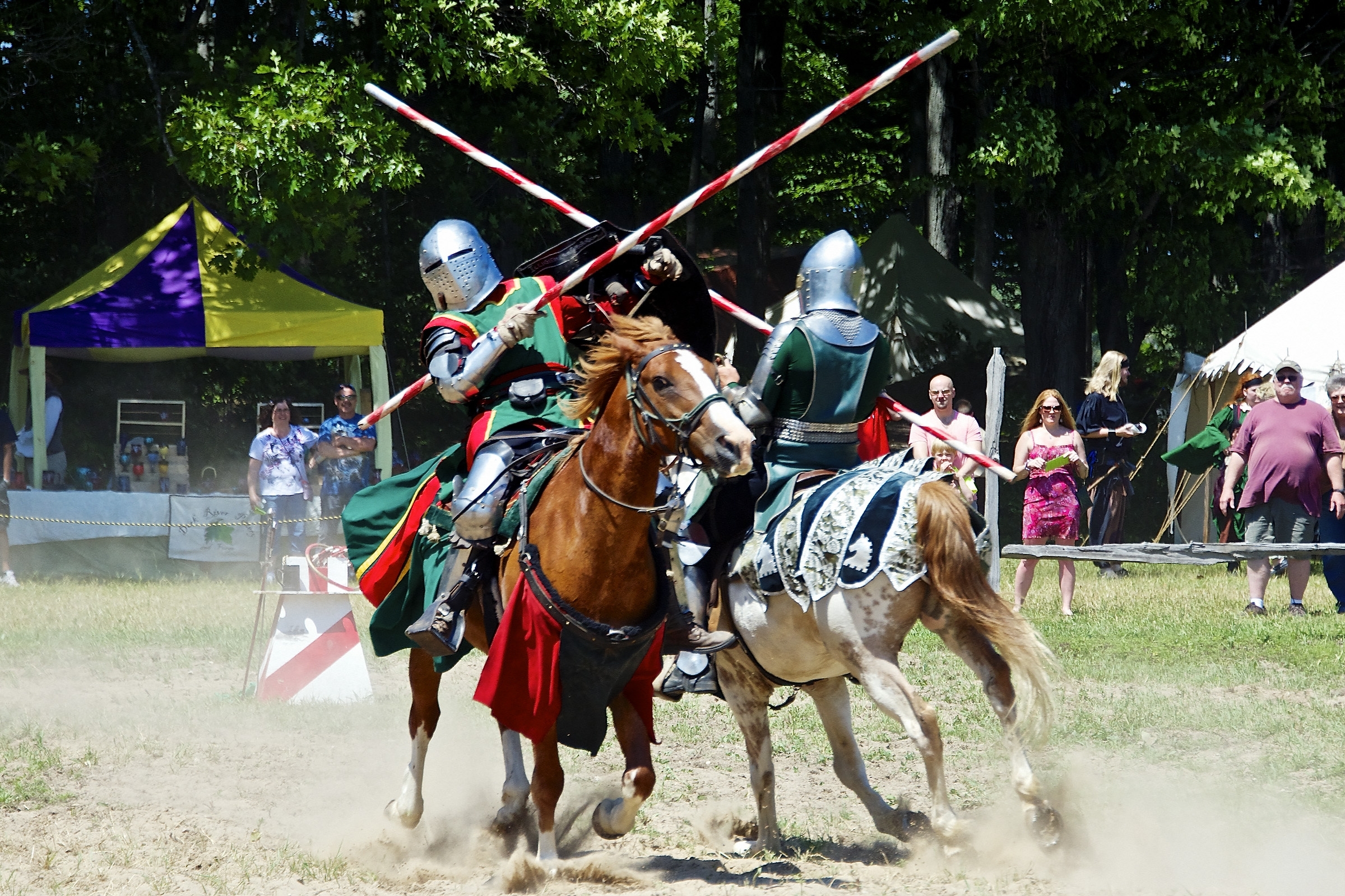 20140705_Renaissance_LVP8911.jpg