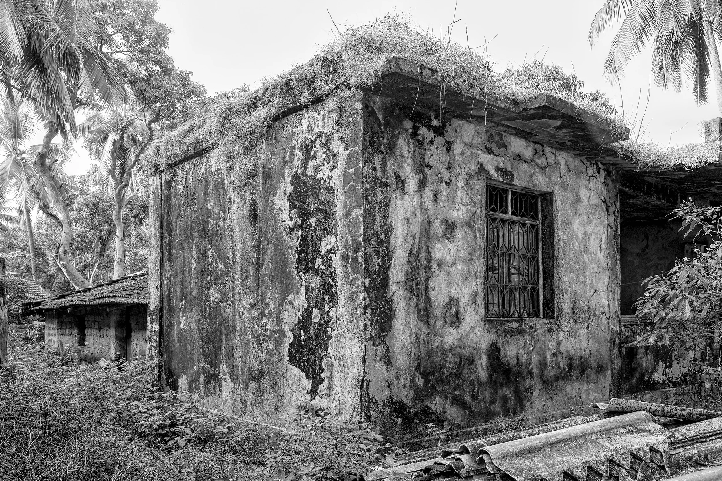 Goa15.jpg