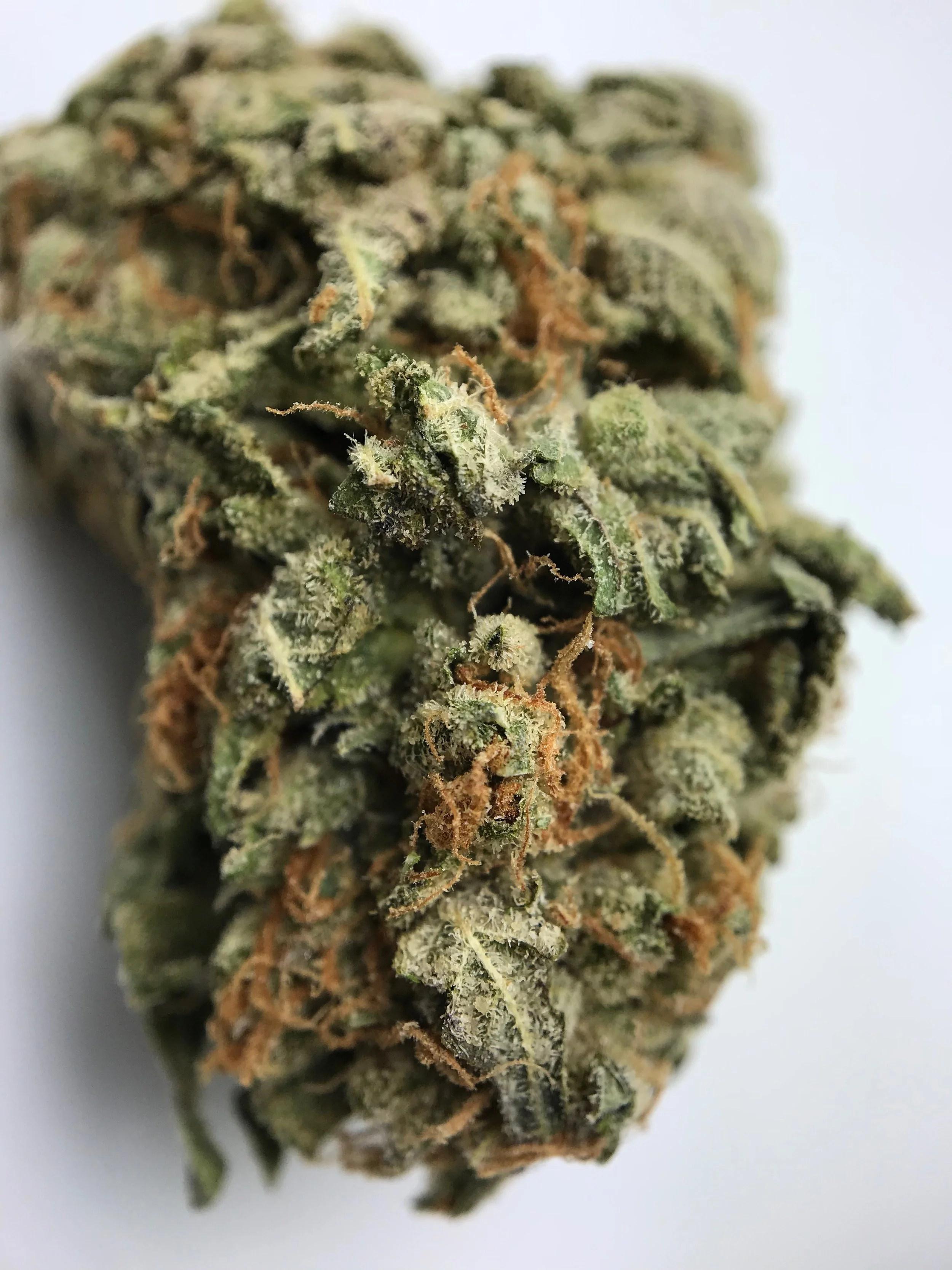 Hells Angels OG  ~TEAM / Staff~ Review by Chri27na