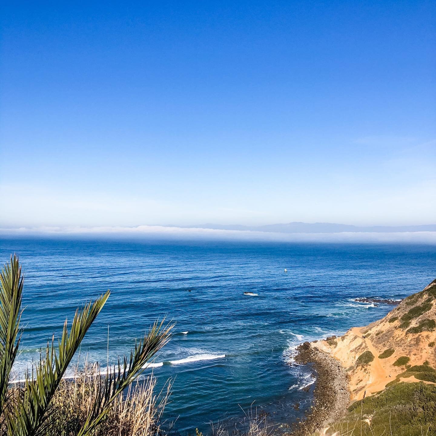 Happy Saturday. It&rsquo;s been an emotional week and I do hope that rest, relaxation &amp; reading good books are on your agenda for today.  Virtual hugs to all, myself included. 😍☀️