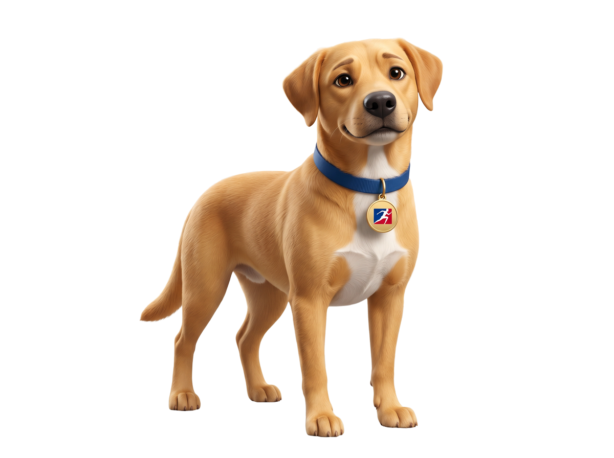 Animated illustration of Swift Mascot Kip, a happy, tan and white puppy with a blue collar and a badge, standing on a transparent background.