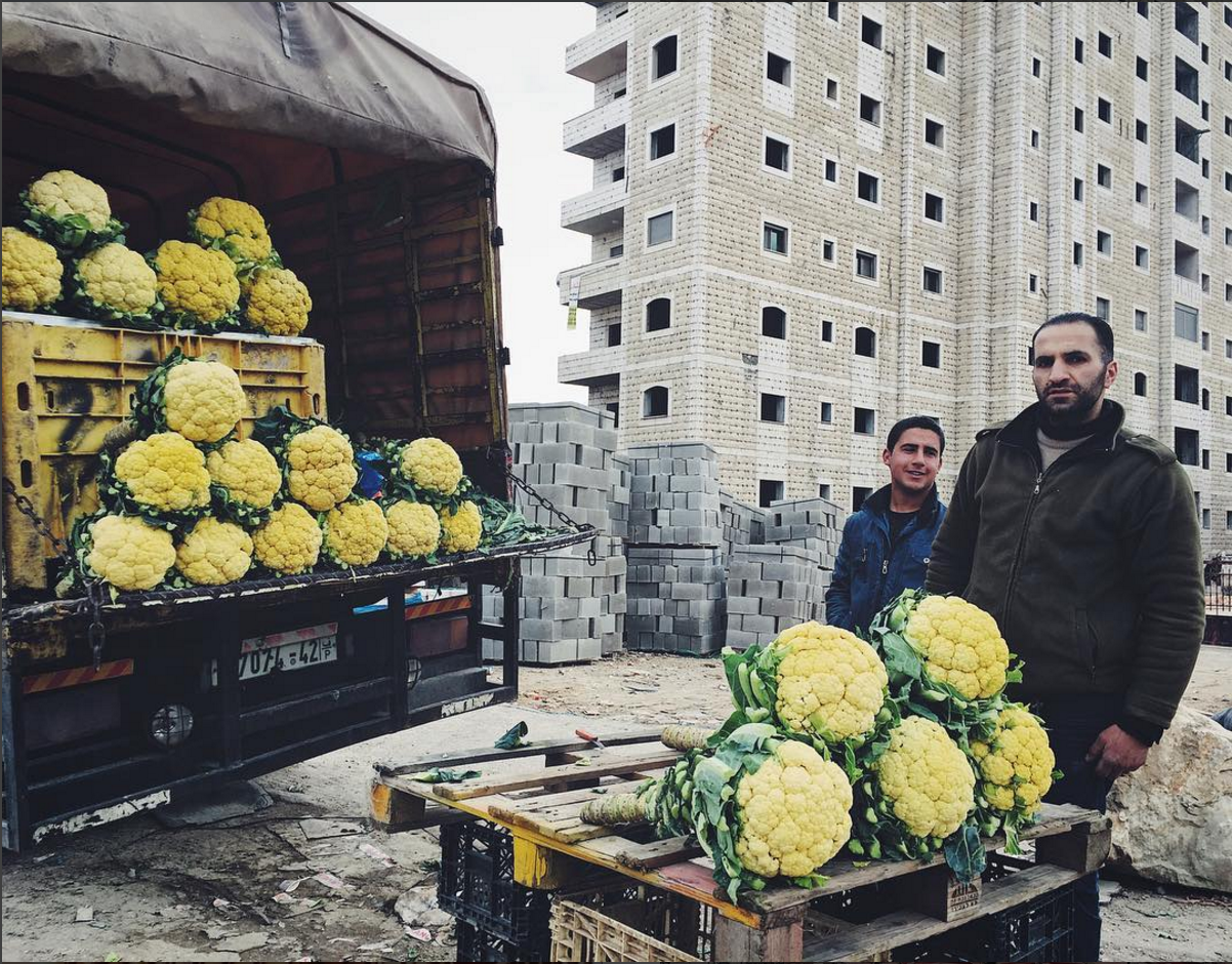 Yellow cauliflower sold outside Qalandiya checkpoint in Ramallah. It is mostly grown in the craggy no mans land between Jerusalem and the West Bank. It's only available for a few weeks in the middle of winter.