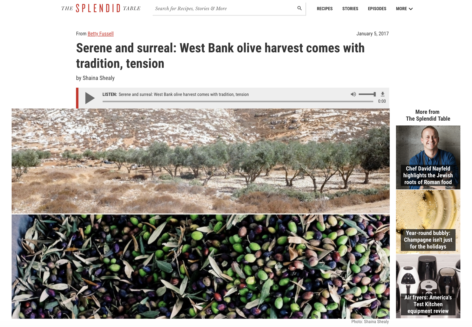 Serene and surreal: West Bank olive harvest comes with tradition, tension