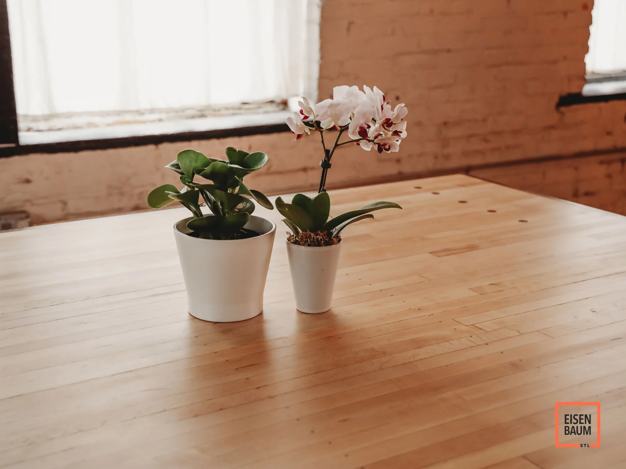 Reclaimed Bowling Lane Dining Table_2.jpg