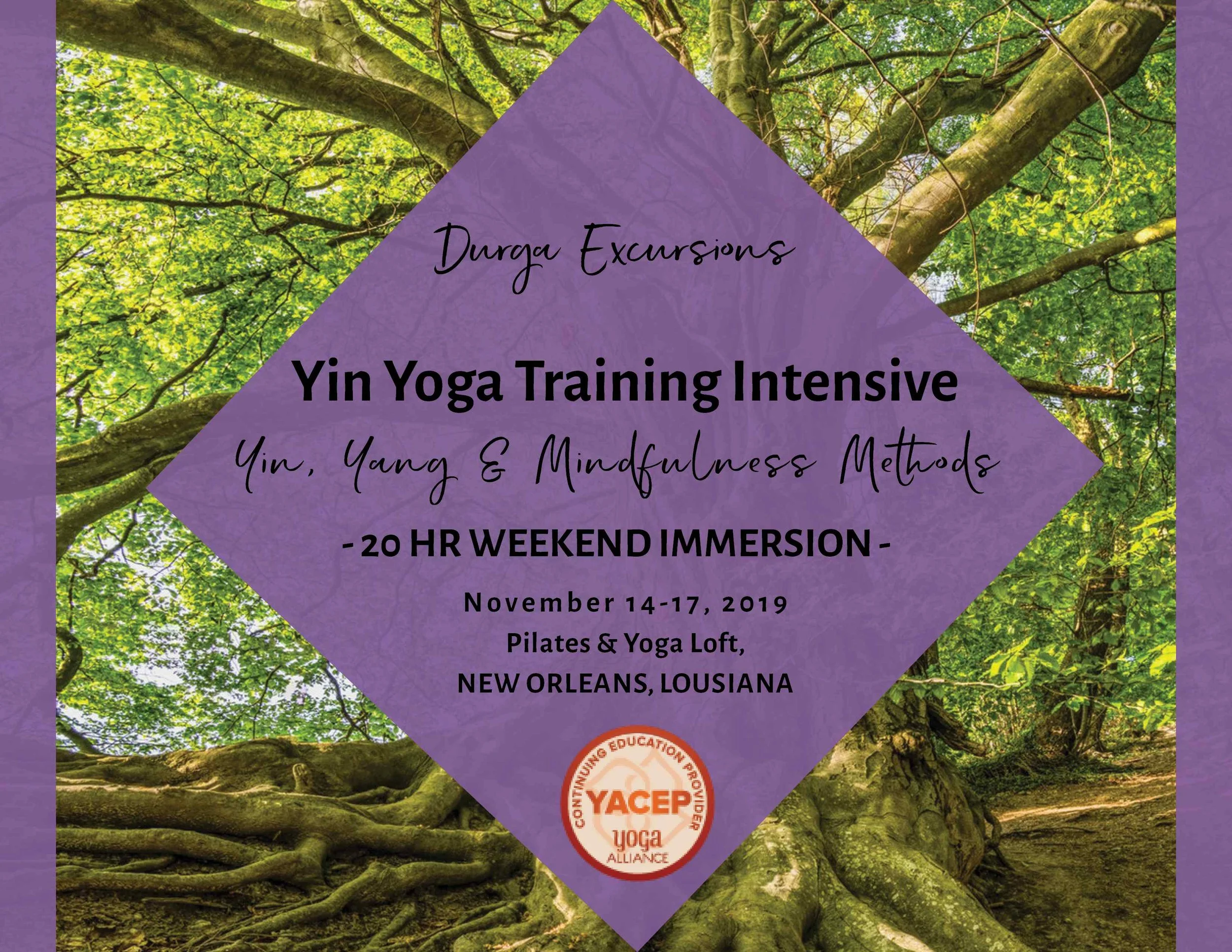 20 hr Yin Yoga Training Intensive | Yin, Yang, and Mindfulness Methods - New Orleans
